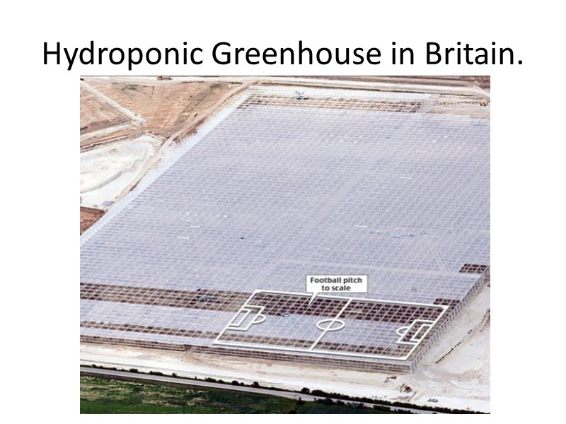 Hydroponic Greenhouse in Britain.